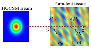 Average Intensity and Beam Quality of Hermite-Gaussian Correlated Schell-Model Beams Propagating in Turbulent Biological Tissue